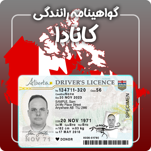 ارائه گواهینامه رانندگی فیزیکی و معتبر کانادا توسط گرافیسو